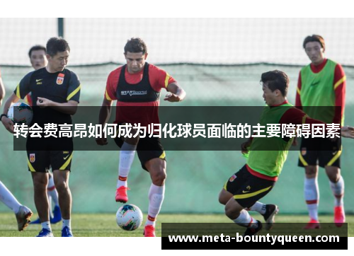 转会费高昂如何成为归化球员面临的主要障碍因素