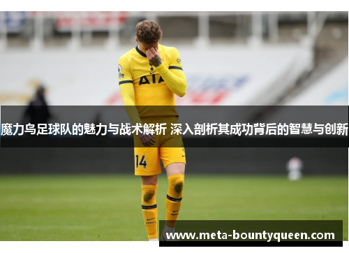 魔力鸟足球队的魅力与战术解析 深入剖析其成功背后的智慧与创新